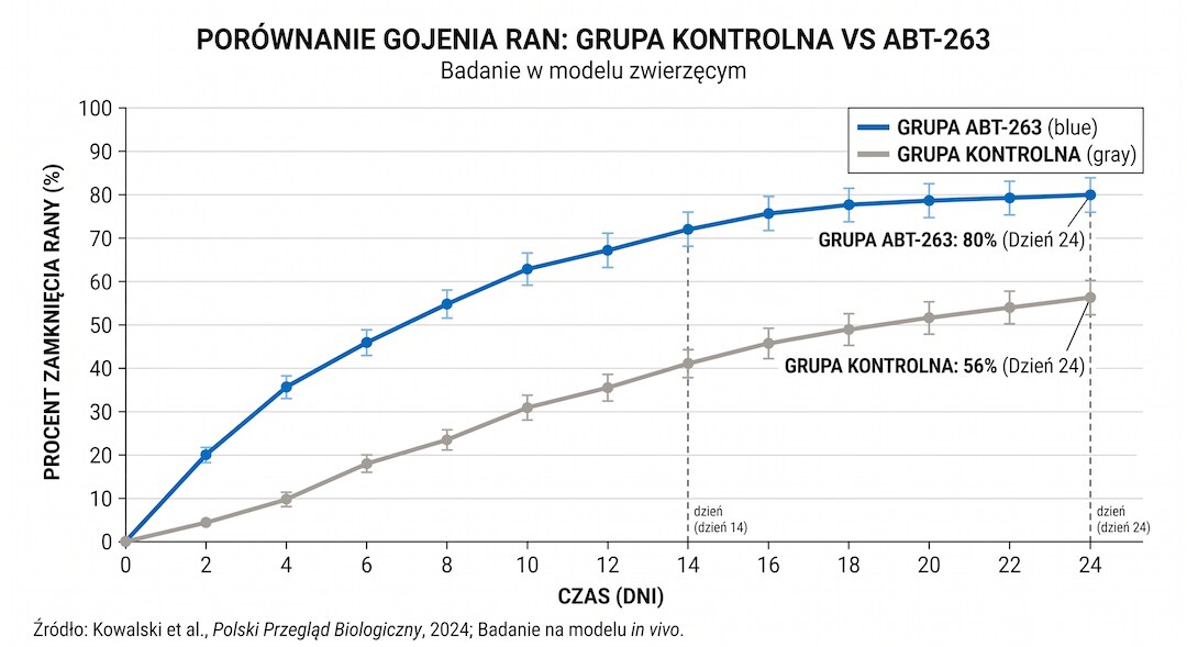 Wykres wyników gojenia ran u myszy po leczeniu ABT-263 vs kontrola