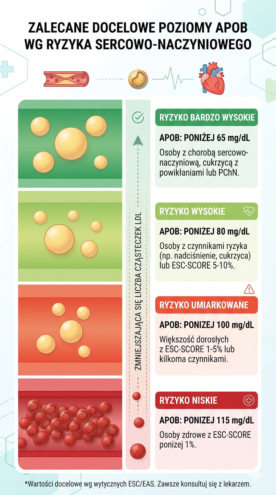 Infografika z normami ApoB według poziomu ryzyka sercowo-naczyniowego