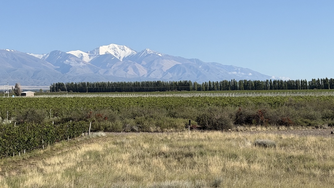 Powrót do formy po 50