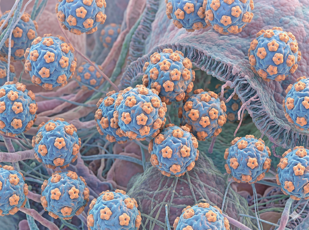 Renderowanie 3D cząsteczek wirusa HPV — sferyczne struktury białkowe unoszące się na ciemnym tle, wizualizacja naukowa