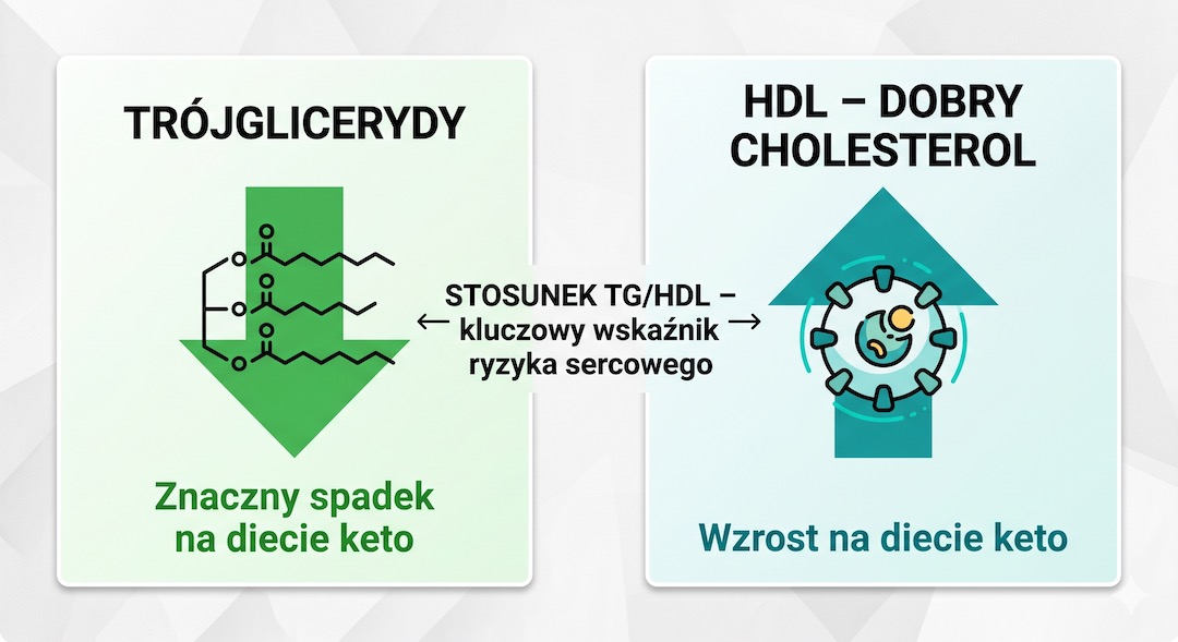 Grafika porównawcza: zielone strzałki w dół przy trójglicerydach i cukrze, strzałka w górę przy HDL – polskie opisy