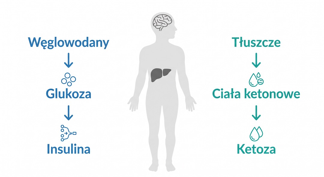 Infografika: jak dieta keto przestawia metabolizm z glukozy na tłuszcze – schemat z polskimi opisami