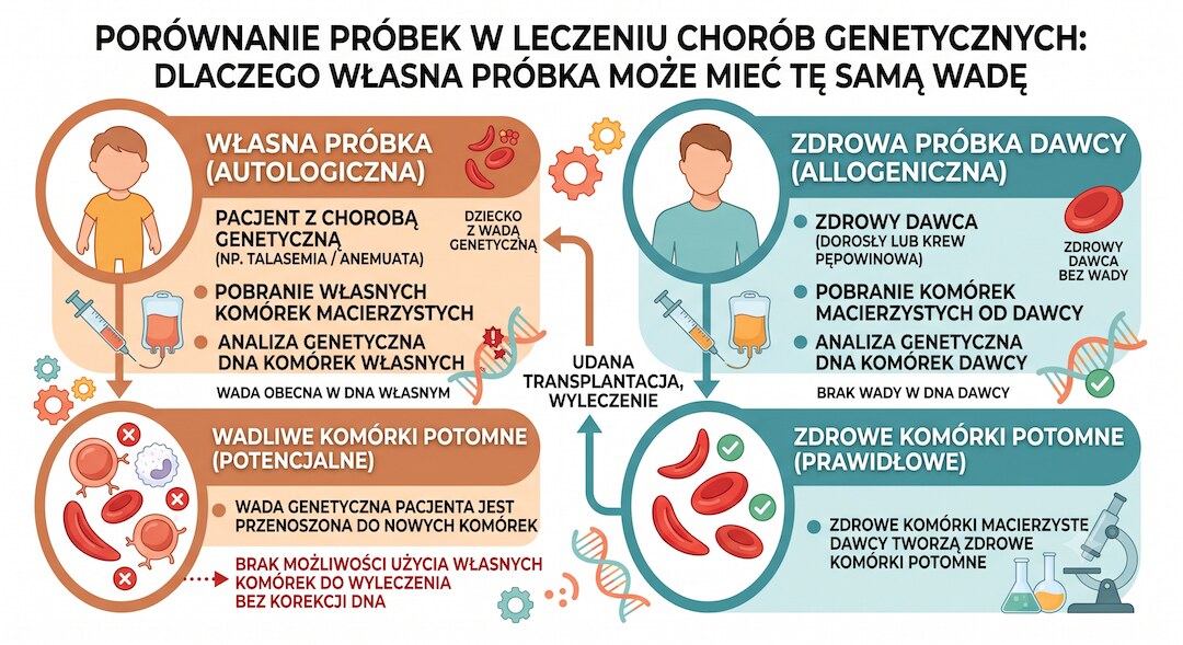 Prosty schemat pokazujący, kiedy potrzebny jest zdrowy dawca zamiast własnej próbki