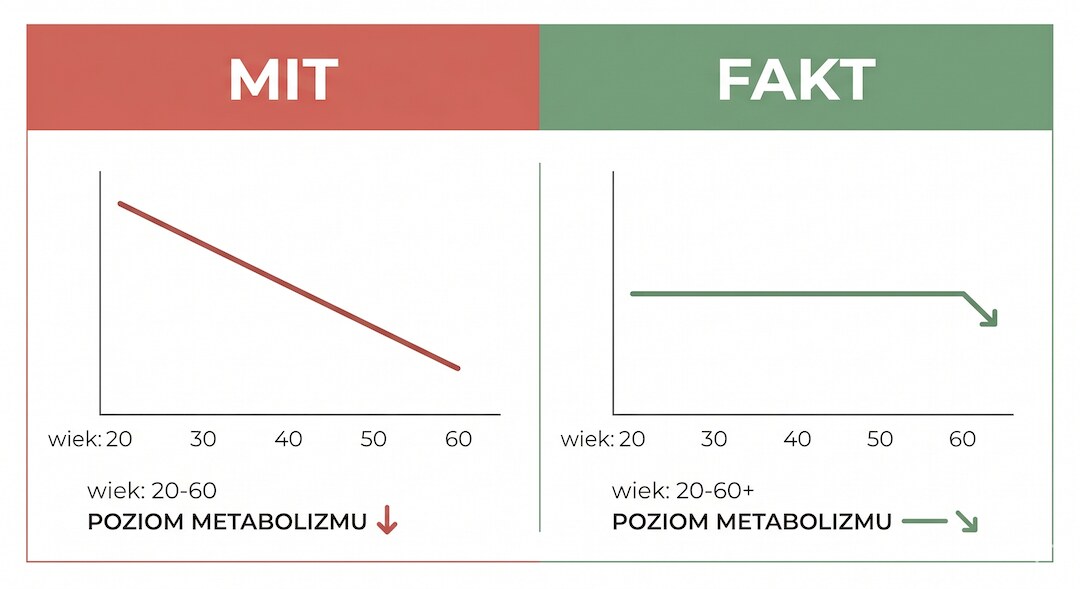 Infografika porównująca mit o spadającym metabolizmie z faktycznym przebiegiem według badań